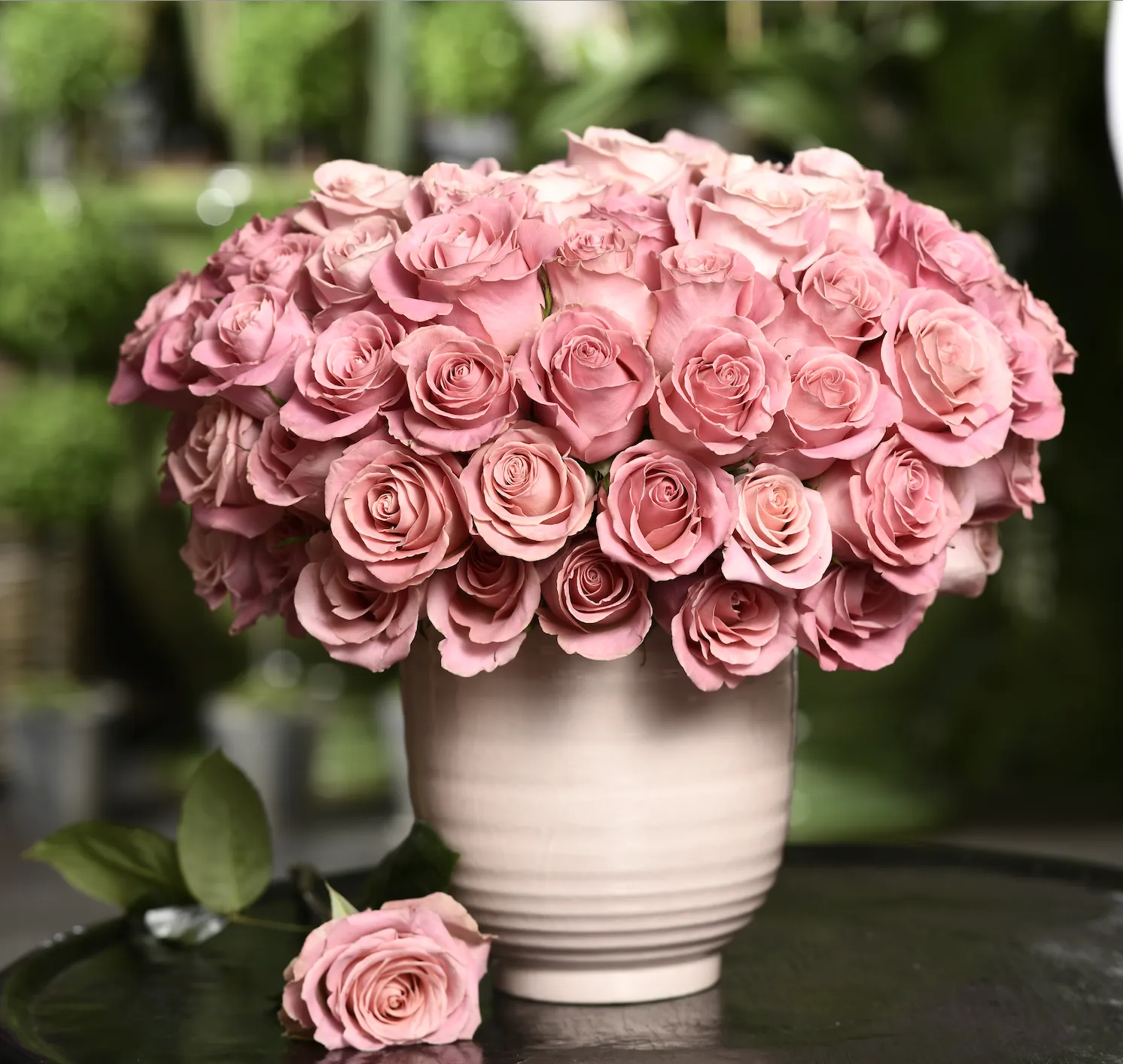 Blush Bloom Haven