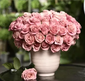Blush Bloom Haven