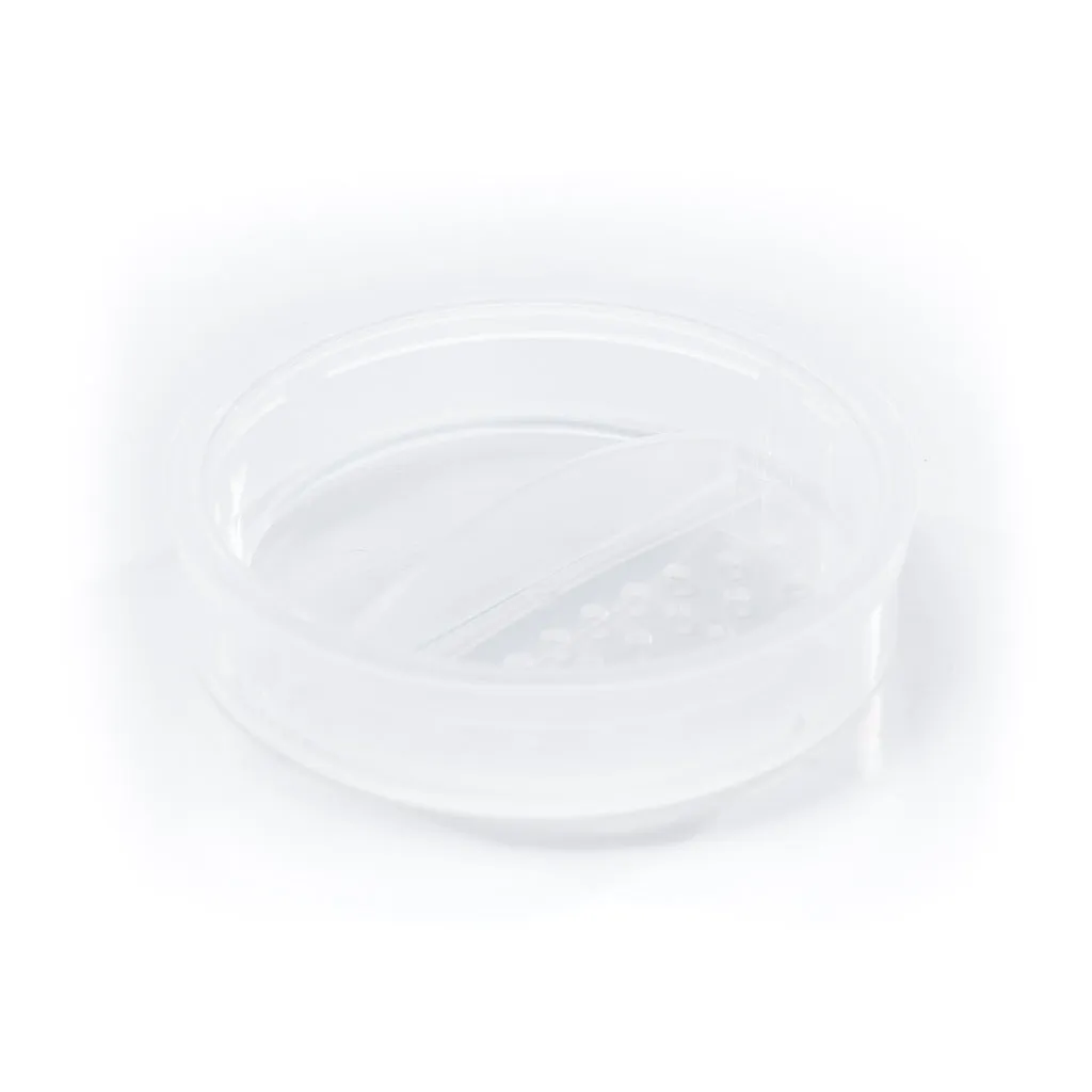 Mineral Foundation Powder C1