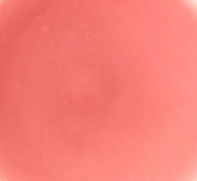 Miss Pepper Flavored Lip Balm Kissing Stick