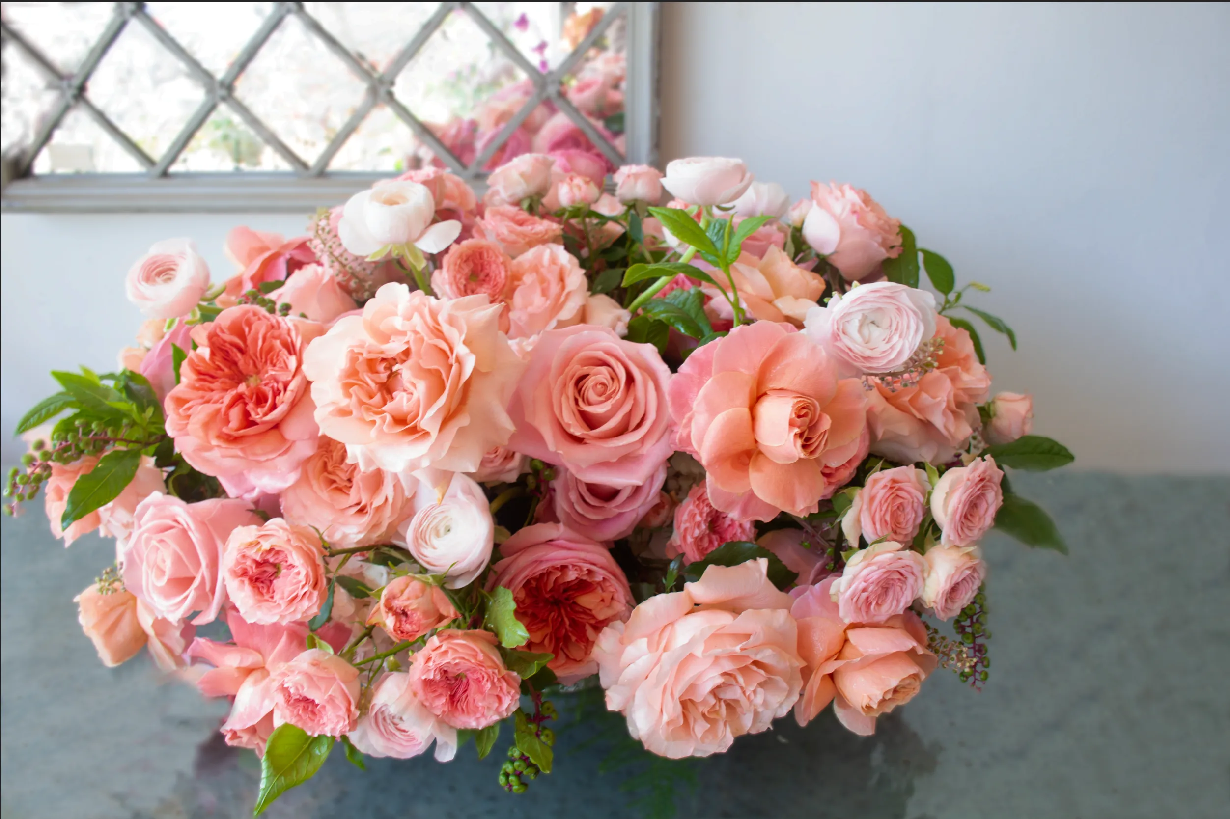 Rose Romance