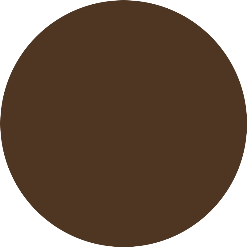 Skin Tint Serum Foundation Deepest